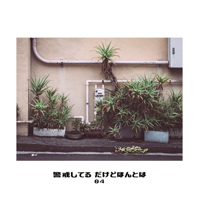 警戒してる だけどほんとは