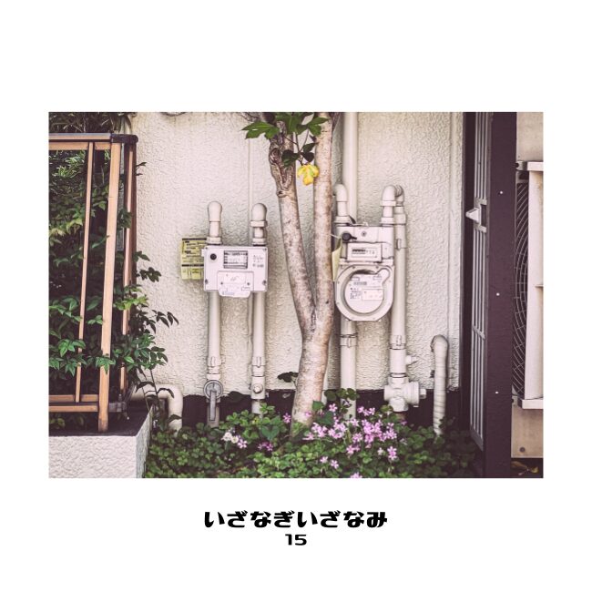 いざなぎいざなみ